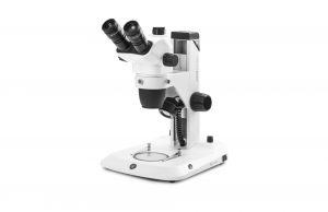 Euromex NexiusZoom 1903-S Stereomikroskop