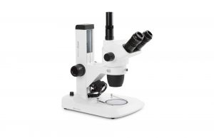 Euromex NexiusZoom Evo 1703-S Stereomikroskop