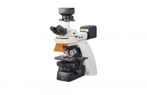 Nikon Eclipse Ni-U Aufrechtes Mikroskop für die Forschung