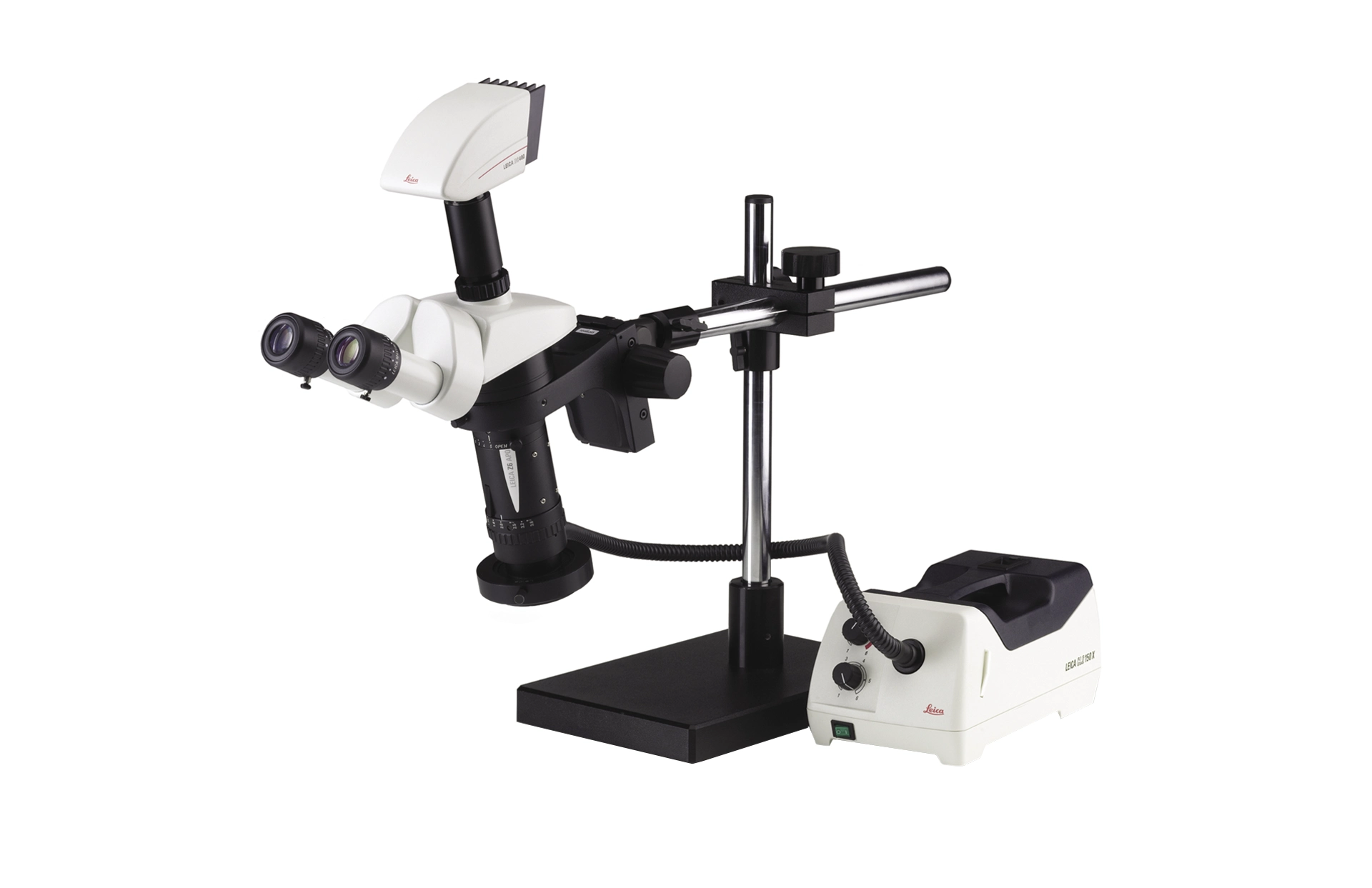 Leica Z16 APO Makroskop mit Binotubus und Kaltlichtquelle mit Lichtleiter, rechtsseitig